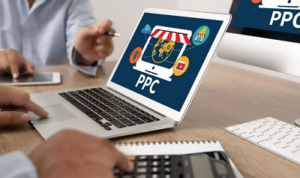 Read more about the article Best PPC Management Services in India: Maximize Your ROI Today